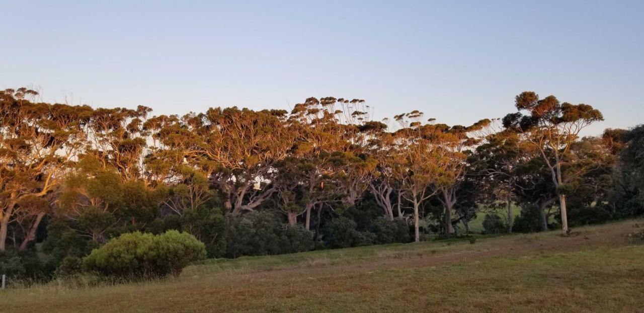 Karriview Margaret River Villa Екстериор снимка