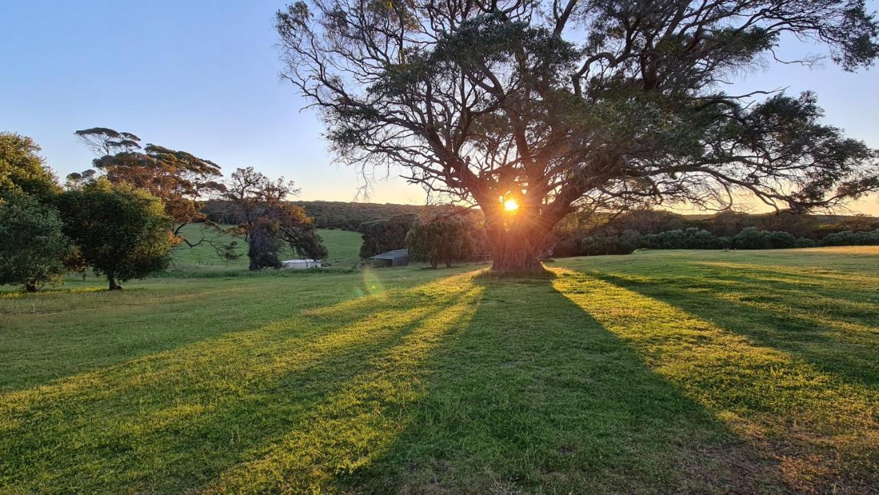 Karriview Margaret River Villa Екстериор снимка