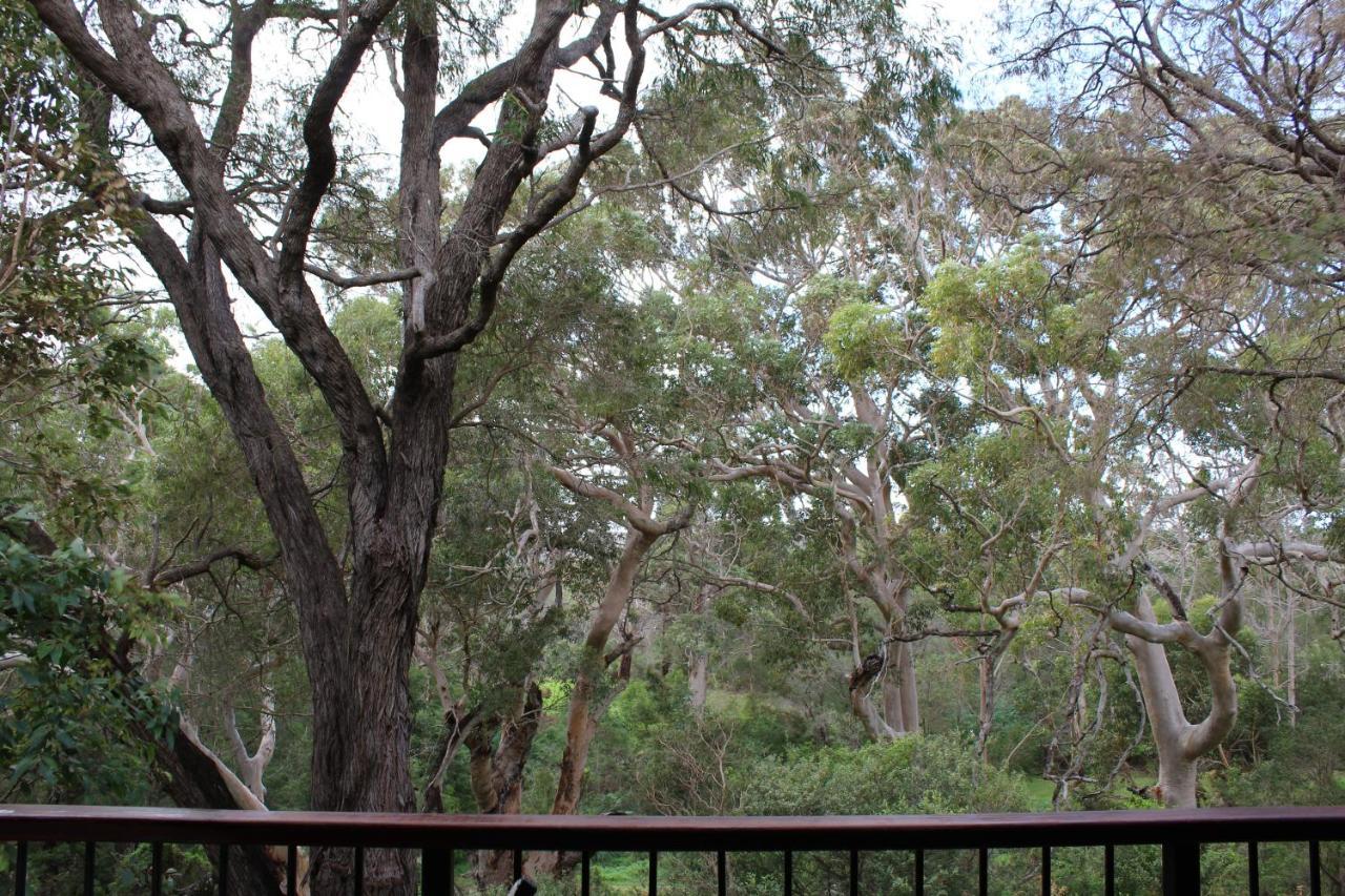 Karriview Margaret River Villa Екстериор снимка